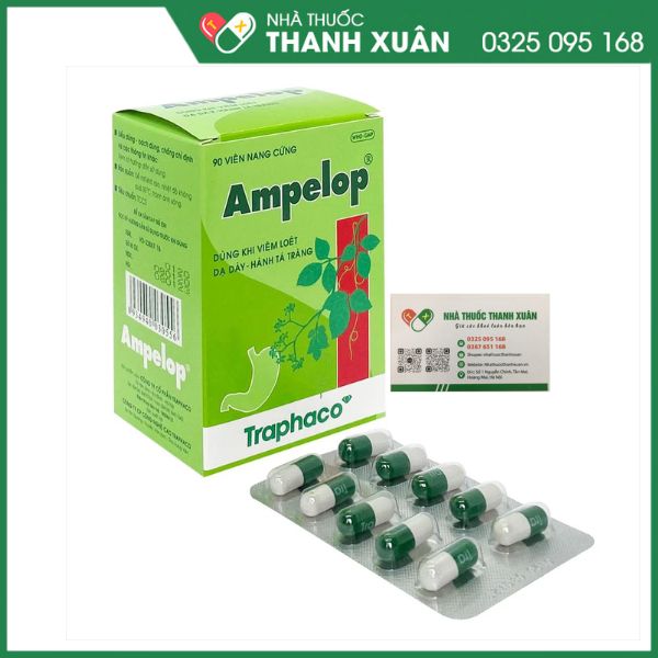 Ampelop - Điều trị và dự phòng viêm loét dạ dày